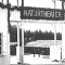JuniPREISRÄTSEL