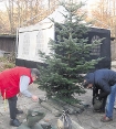 Waldweihnacht im Wasenwald