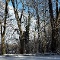 Winter im Naturtheater Reutlingen | Foto: Andreas Pedretti