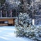 Winter im Naturtheater Reutlingen | Foto: Andreas Pedretti