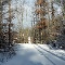 Winter im Naturtheater Reutlingen | Foto: Andreas Pedretti