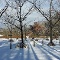 Winter im Naturtheater Reutlingen | Foto: Andreas Pedretti