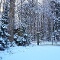 Winter im Naturtheater Reutlingen | Foto: Andreas Pedretti