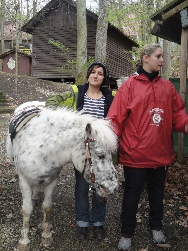 https://www.naturtheater-reutlingen.de/content/igal/k-dsc04504-FC4QJ7-L-33037.jpg