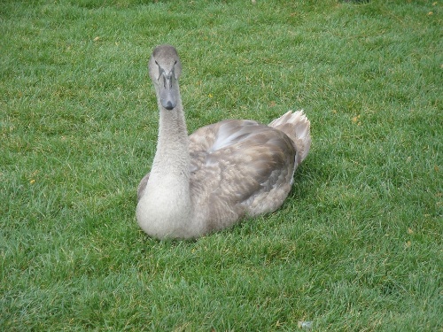 https://www.naturtheater-reutlingen.de/content/igal/k-dsc09430-K2K8SA-L-24616.jpg