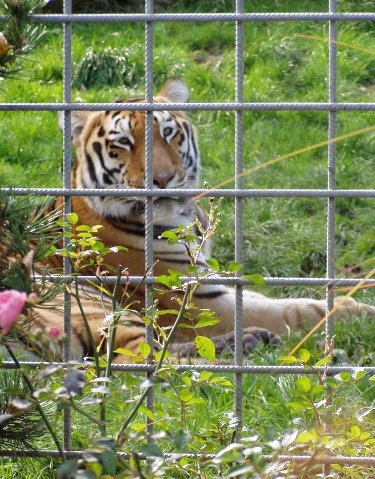 https://www.naturtheater-reutlingen.de/content/igal/k-p1010025-VCPFIL-L-31919.jpg