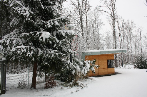 Winterschlaf im Wasenwald / Foto: privat