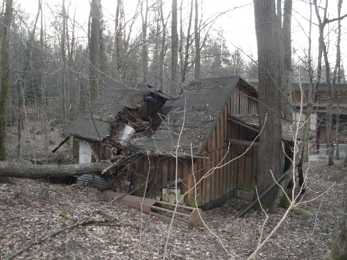 Vor wenigen Wochen stürzte dieser Baum auf den Schuppen, der als Lager für Kulissenteile und Stühle diente, und zerstörte diesen vollständig. Foto: NTR