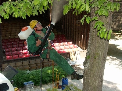 Freischwebender Einsatz von Forstwirt Felix Schenck gegen die gefräßigen Raupen